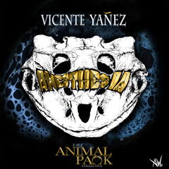 Vicente Yanez - "Anesthesia" (Original Mix) [FREE MP3]