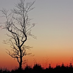 Breaking in gently (Original).