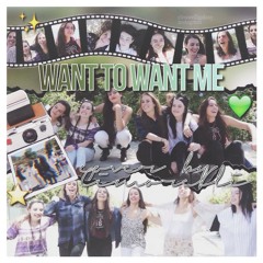Want to want me - Cimorelli