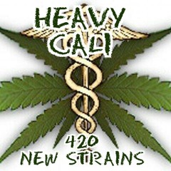 Sky (Heavy Cali)