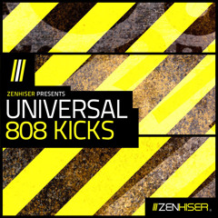 Universal 808 Kicks - 300 Utterly New & Exciting 808 Kick Drums!