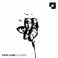 Dani Labb - New Friends (Original Mix)