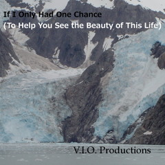 If I Only Had One Chance (To Help You See The Beauty Of This Life)
