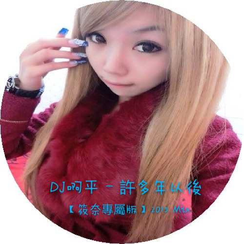 DJ啊平 - 許多年以後【筱奈專屬版】 2015 Mix