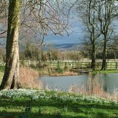 Waiting For A Superman [Cover]