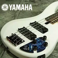 Yamaha RBX305 & Laney RB-2 at Beat Spot (Future park Rangsit)