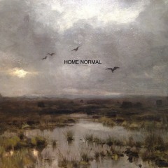 Ambient Mixes