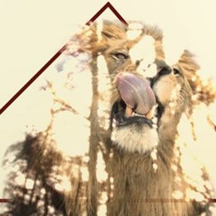 Hawklion - Families