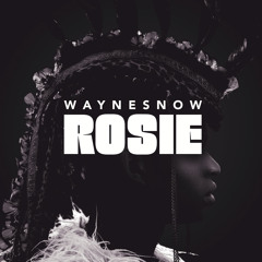 Rosie EP :: Wayne Snow :: Tartelet Records 2015