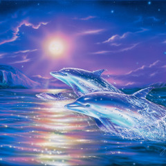 Dolphin's Song