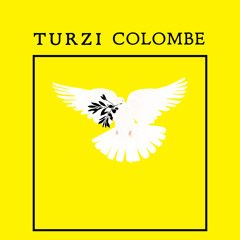 Turzi - Colombe (Polo & Pan Remix)