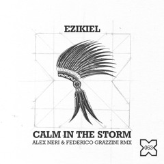 Calm In The Storm (Alex Neri & Federico Grazzini Rmx)
