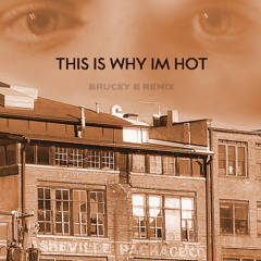 Mims This Is Why Im Hot (Brucey B Remix)