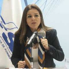 ¿Quiénes conforman el Comité de riesgo aduanero?