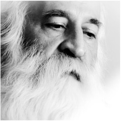 Ostad Mohammad Reza Lotfi , Taknavazi Setar