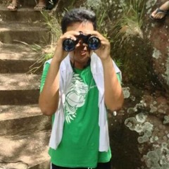 No Promise - Shyne Ward (cover)