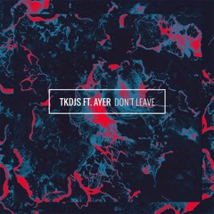 TKDJS - Don't Leave feat. AYER