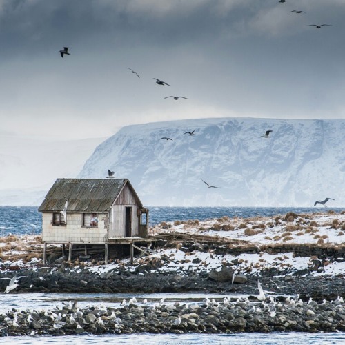 " تلاوة من سورة النمل " .. ناصر القطامي .