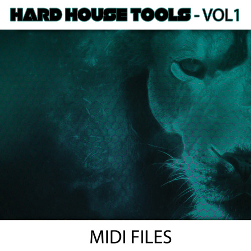 HARD HOUSE TOOLS VOL1 - MIDI FILES