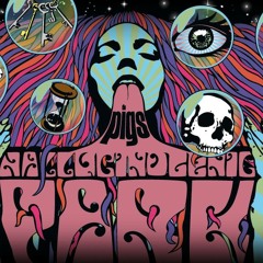 DIE PIGS - Sternenstaub Erinnerung