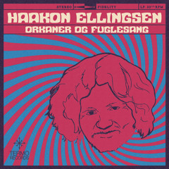 Haakon Ellingsen - Mandolin