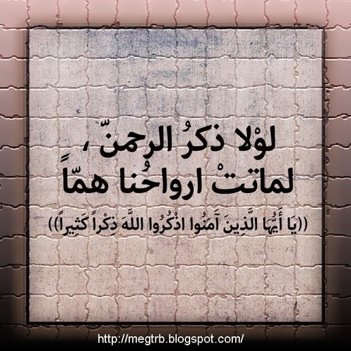 تلاوة حجازية بديعة لسورة الأحزاب للقارئ عمر القزابري