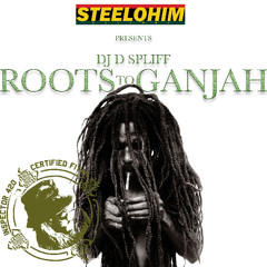 reggae 4