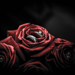 @DjCaptain_ndn_drums | Wedding DJ Bhangra Mix 2015