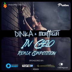 Dinka & Morttagua - In Caelo (Sunny Terrace Remix) Preview [Pineapple Digital]