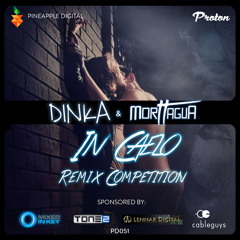 Dinka & Morttagua - In Caelo (Bee Hunter Remix)Preview [Pineapple Digital]