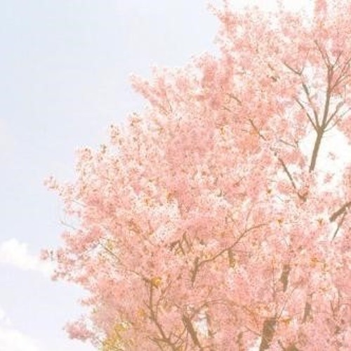 임현정 - 사랑은 봄비처럼...이별은 겨울비처럼
