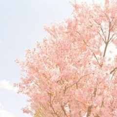 꽃처럼한철만사랑해줄건가요