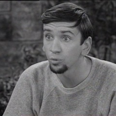 Bob Denver Is Hip