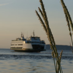 From Da MidWest (MPCBB112)