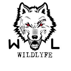 MARS BARS ON SHADOWS