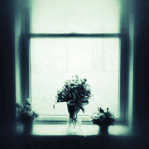 trees (twenty one pilots cover)