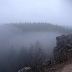 Hannah Case - The Art Assignment Remix (Son Lux)