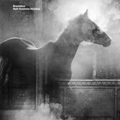 FAUXPAS RSD2015 Brambles - Half-Gramme Holiday