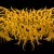 Artwork for Slam Death Metal Riffs (Test)