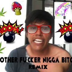 Mother Fucker Nigga Bitch Remix