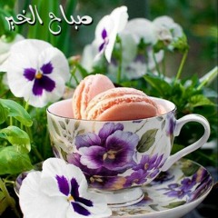 يسعد صباحك  في #صباح_الخير