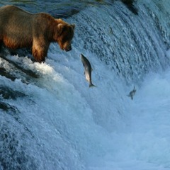 Cogitation (Original Mix)