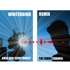 THE JAMM CHANNEL/Anne Van Schothorst "Winterbird" REMIX