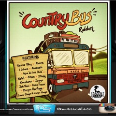 Country Bus Riddim Mix   Dj Ali G