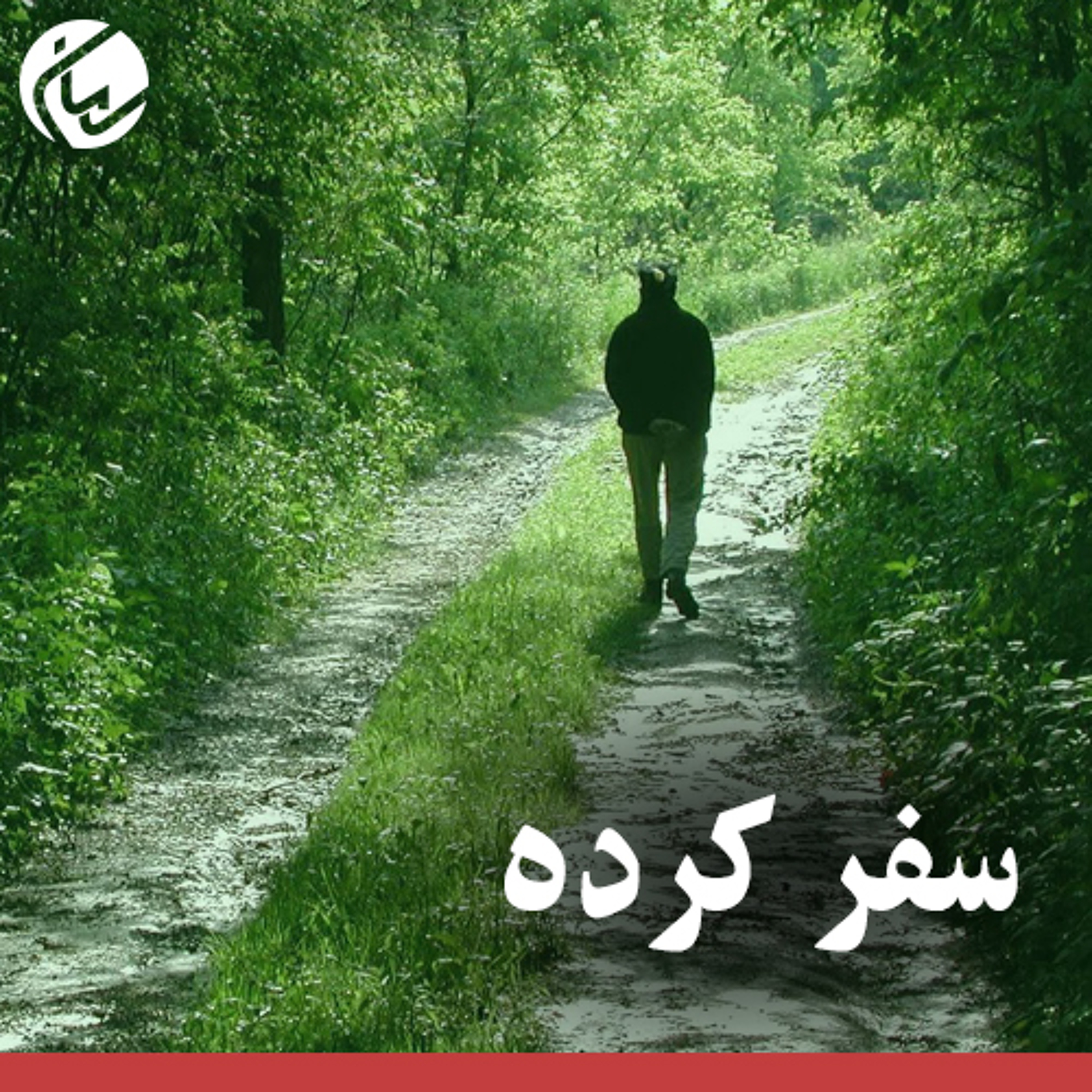 Saman Jafari
