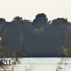 Vriedmann - Inside Me (unmastered/idea)