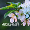 Vintage Culture Constantinne Felten Eyes Out Now Mp3