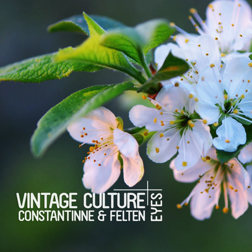 Vintage Culture, Constantinne, Felten - Eyes (Out Now)