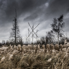 Wiegedood - Onder Gaan