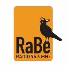 RaBe-Info: Konzernverantwortungsinitiative